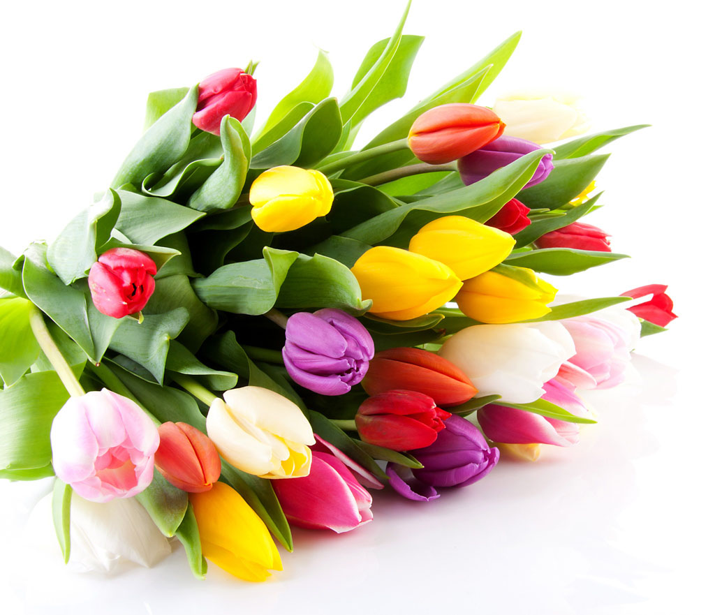 Чоловіки у міськраді вже готуються до 8 березня