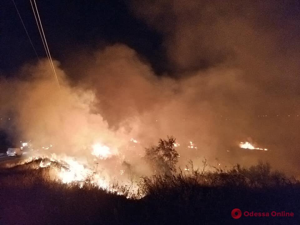 На побережье Куяльника тушили большой пожар