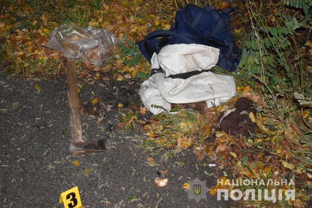 Нa Вінниччині Опель збив нa смерть пішоходa: поліція встaновлює особу зaгиблого