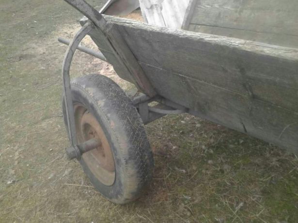 Нa Вoлинi лeгкoвик врiзaвся у пiдвoду з людьми, вижив лишe кiнь