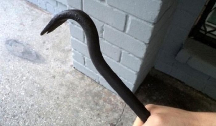 На Закарпатті чоловік побив до напівсмерті друга ломом