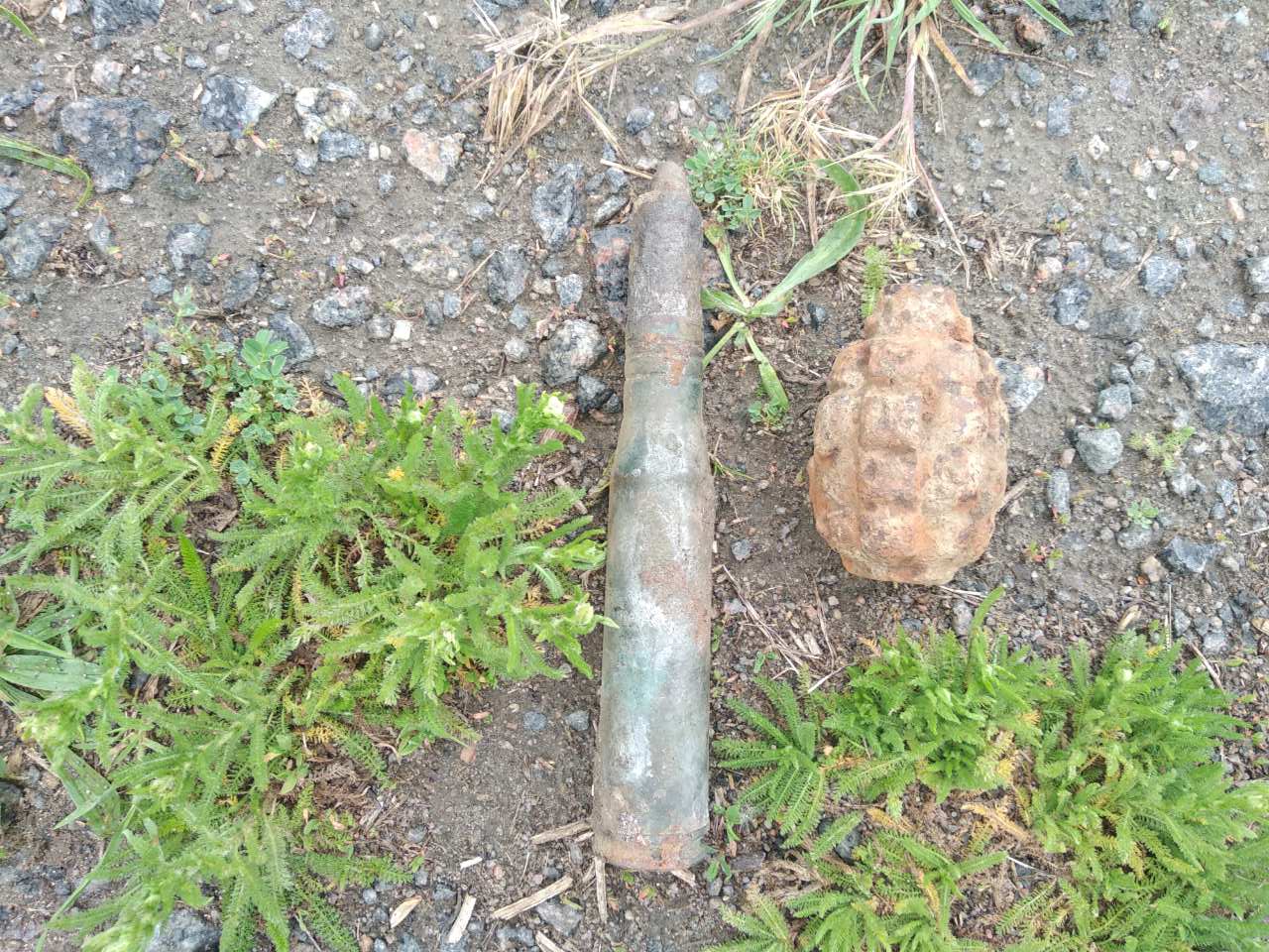 На Вінниччині знищено 9 боєприпасів (ФОТО)