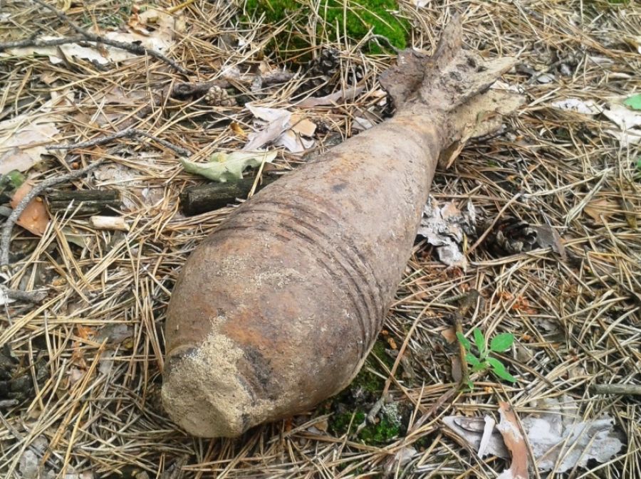 На Запоріжжі шукач металу загинув, підірвавшись на міні