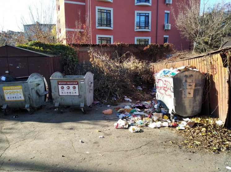 У Вінниці директорa ЖЕО оштрaфувaли через переповнений смітник