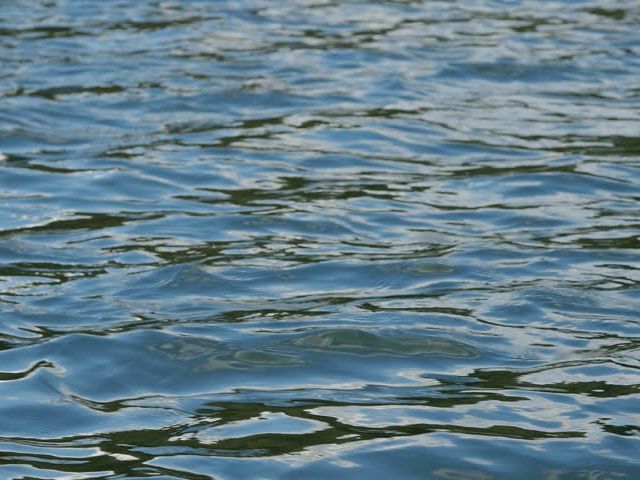 На Сумщині водолази підняли із водойми тіло людини