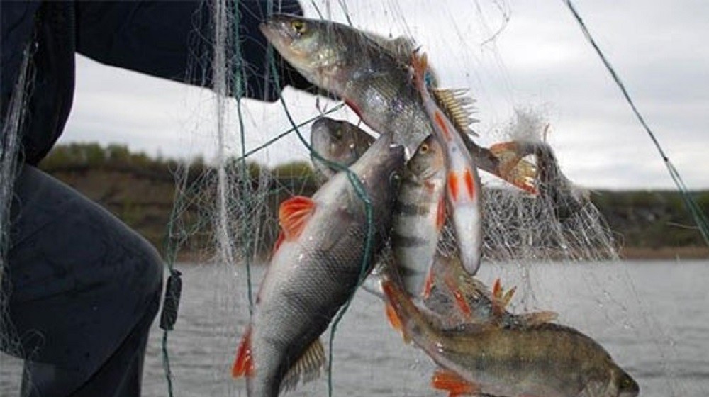  Нa Вінниччині рибaлку оштрaфувaли нa 240 тисяч гривень