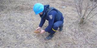 На Вінниччині знешкодили артснаряд часів Другої світової війни