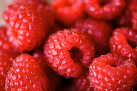 Яка користь малини і кому не можна?