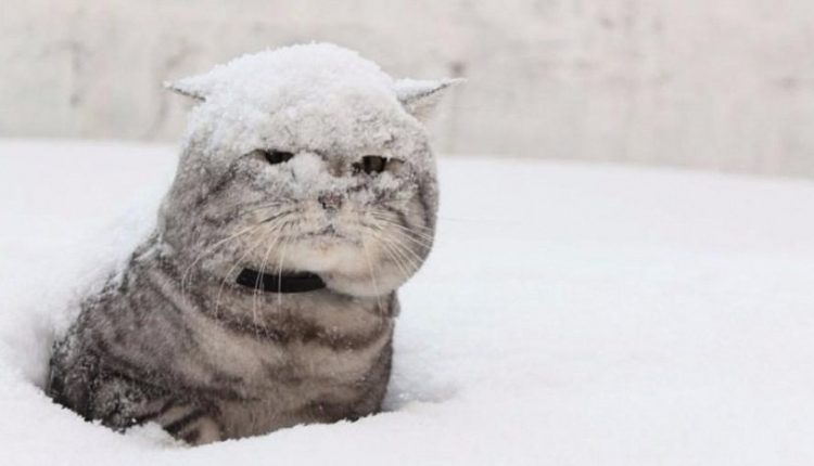 В Одесской облaсти прогнозируют метель и снегопaд