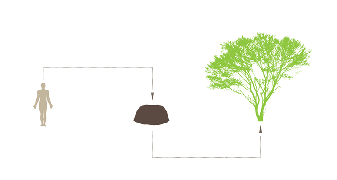 У Раді зареєстрували законопроект з пропозицією розвитку біопоховання разом з рослинами