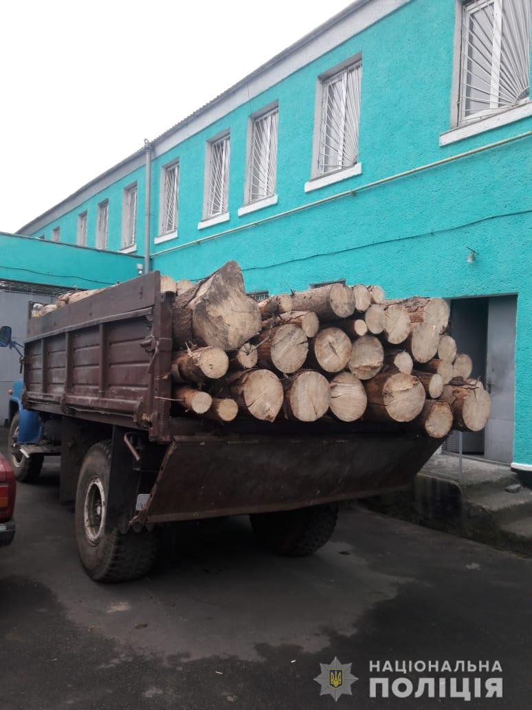 На Вінниччині групу злочинців спіймали під час незаконно вирубування дерев
