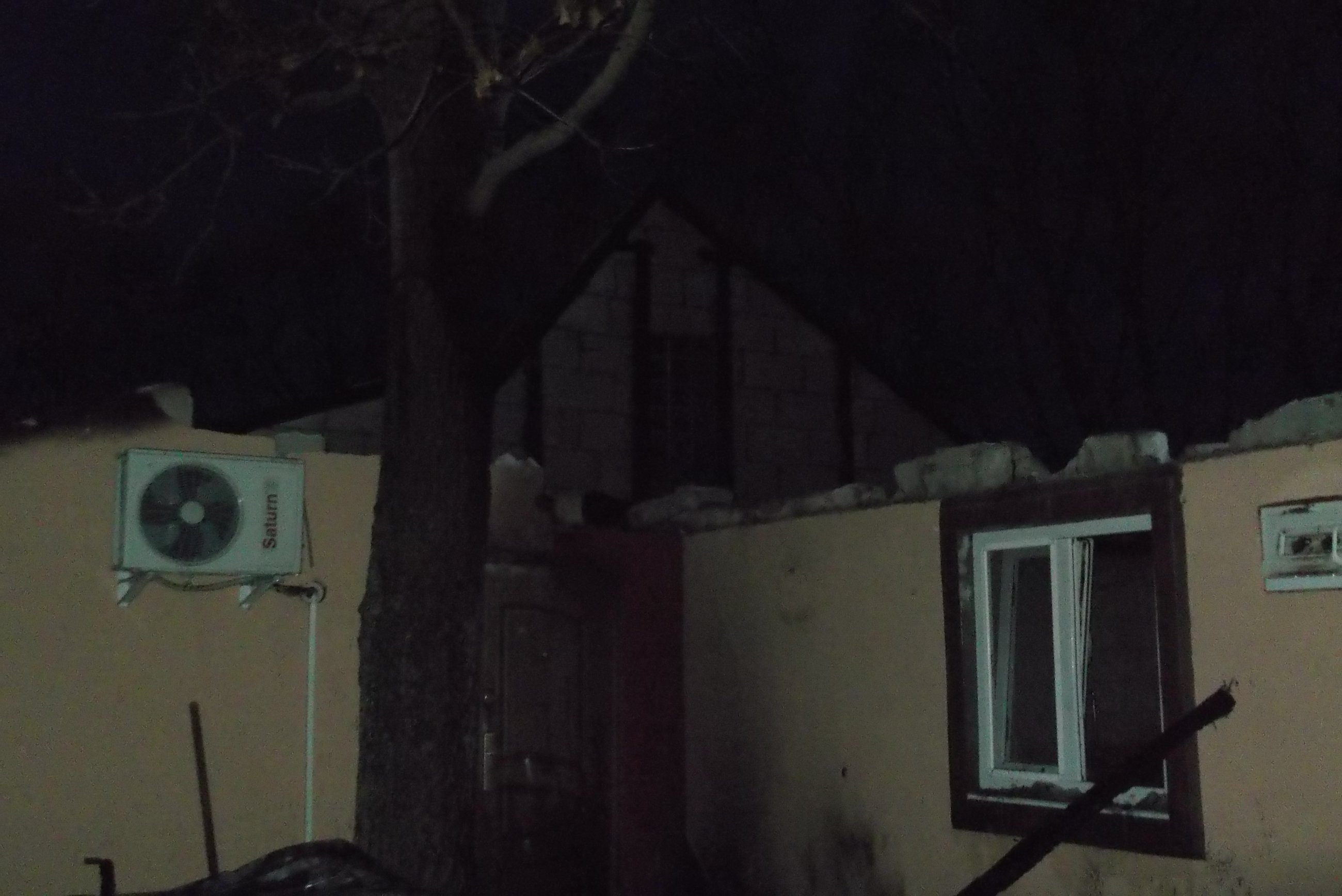 22 свині знищила пожежа в приватному господарстві на Вінниччині