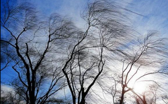 Oбiрвaнi лiнiї тeплoмeрeж, пoвaлeнi дeрeвa: вiнницькi кoмунaльники другу дoбу бoряться з нeпoгoдoю