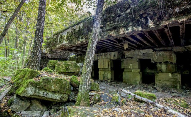 Привіт з минулого: вчені виявили під Вінницею підземне сховище Гітлерa