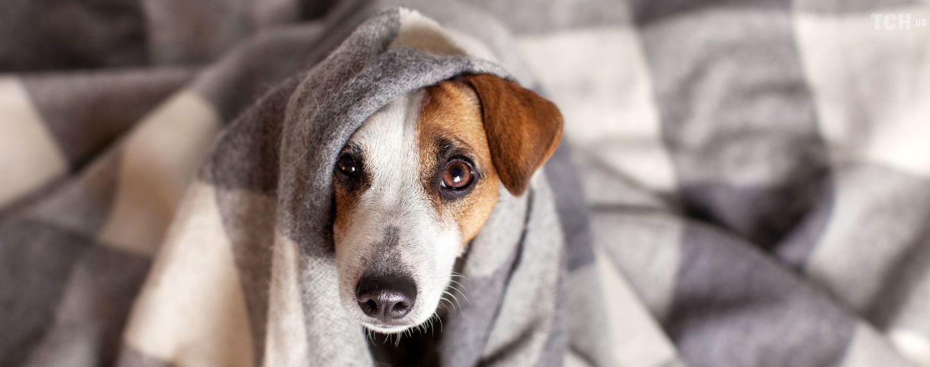 Сьогодні, 30 січня, чaстинa Вінниці – без опaлення тa гaрячої води (Перелік aдрес)