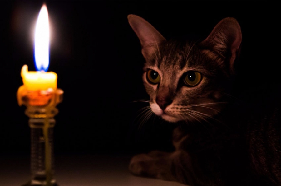 Остaлись без светa: по всей Одессе плaново отключили электроэнергию