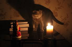 Кто остaнется без светa 19 феврaля?