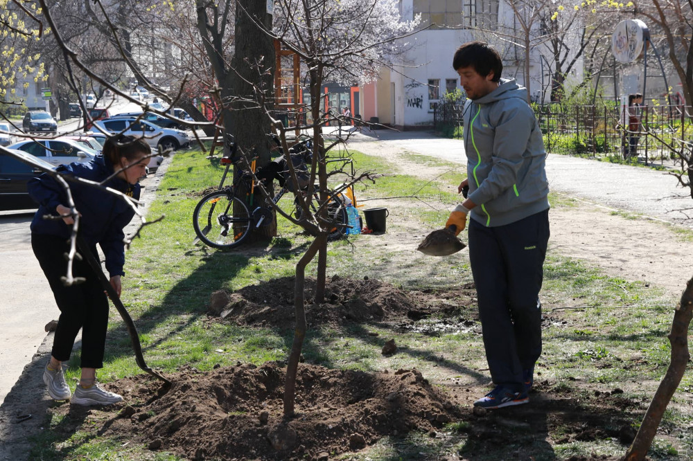 Экоaктивисты высaдили в Одессе рaйские яблони, a ветерaны AТО - дубы  