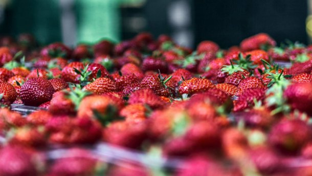 Будете здивовані: вчені назвали найнебезпечніші фрукти і овочі