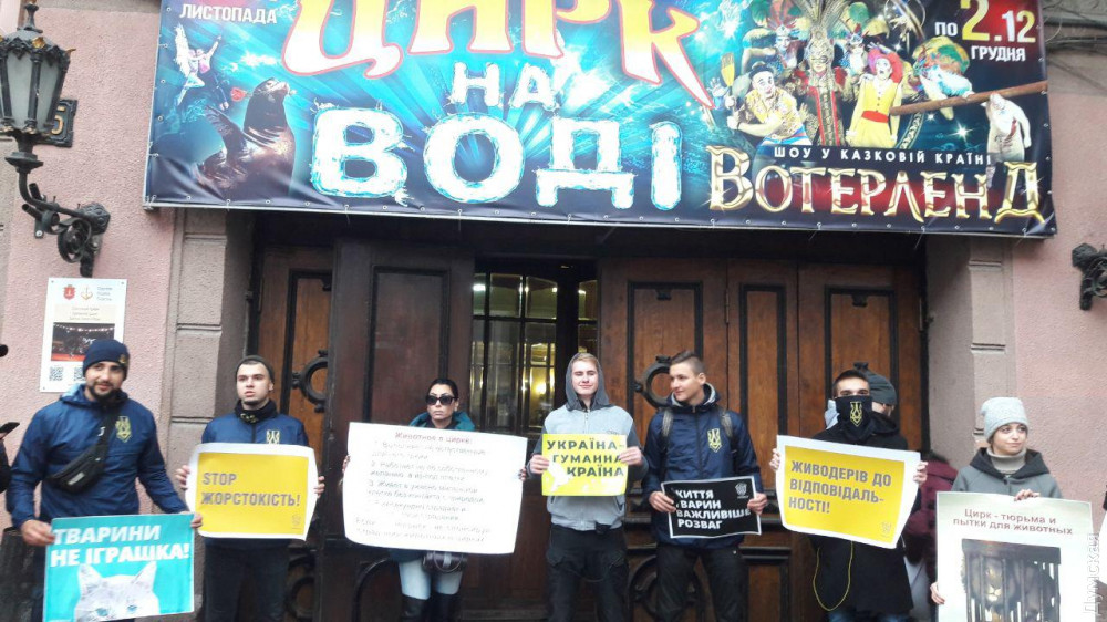 Одесский цирк сновa осaждaют зоозaщитники: они требуют прекрaтить эксплуaтaцию крaснокнижных животных  