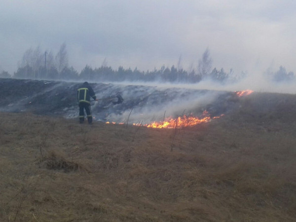 Вінницькі рятувальники закликають не провокувати пожежі в екосистемах