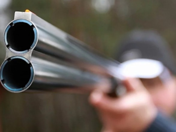 На Чернігівщині браконьєри розстріляли вагітну самку лося