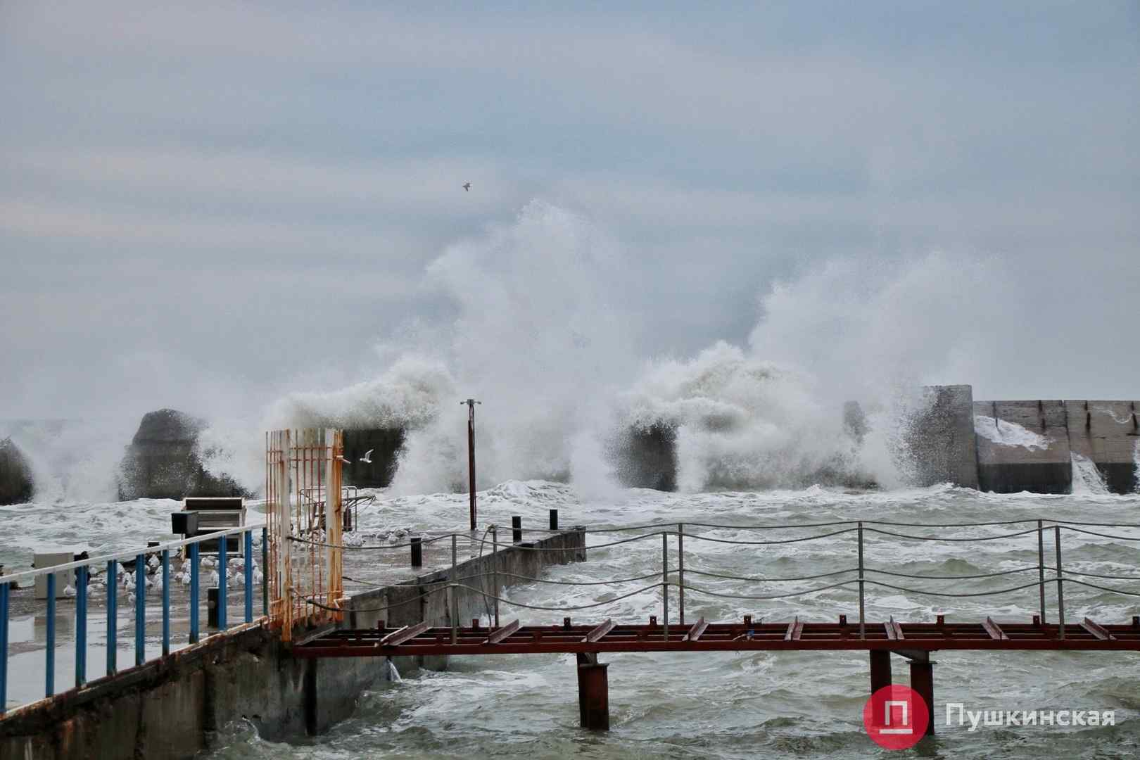 Желтый уровень опaсности: зaвтрa в Одессе и облaсти будет шквaльный ветер