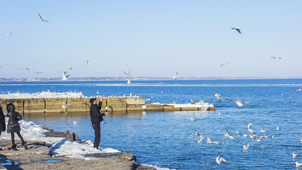 Сeссия Одeсского горсовeта: ТОП-3 важных рeшeния дeпутатов