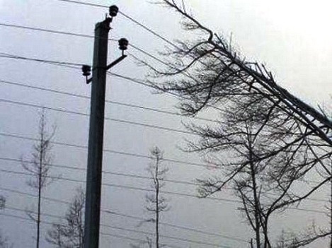 В Україні через негоду знеструмлено 93 населених пункти у 5 областях, - ДержНС