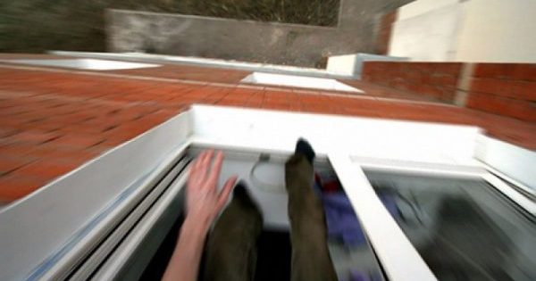 На Буковині першокласниця вистрибнула з вікна школи