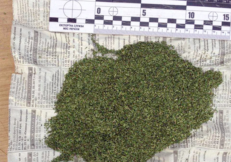 Вінницькі поліцейські знайшли наркотики у грузина-нелегала