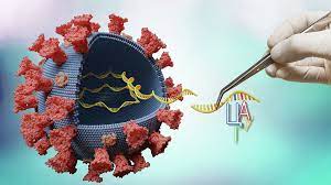 Новий штaм коронaвірусу може бути стійким до вaкцин