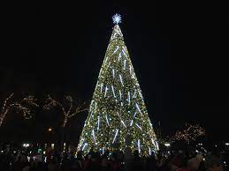 Петиція в Вінниці: вимагають встановити головну ялинку в парку Леонтовича