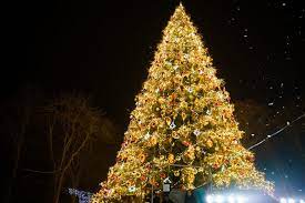 У Вінниці не будуть встановлювати міську новорічну ялинку