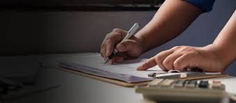 Уряд збільшує пільговий кредитний ліміт для тваринництва: нові стимули для розвитку галузі