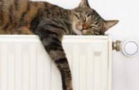 Українська влада не планує додаткового імпорту газу на опалювальний сезон 2024/25