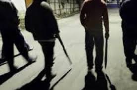 У Парижі десять молодиків з битами побили українського підлітка (ВІДЕО)