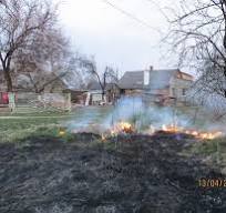 Вінницькі екологи покарали «паліїв»