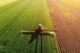 Українські аграрії отримали 51 мільярд гривень кредитів, з них 21 мільярд за програмою "Доступні кредити 5-7-9"