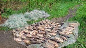 Суд зобов'язав вінничанина відшкодувати майже півмільйона гривень за незаконний вилов риби