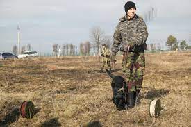 У Японії розробили технологію, яка шукає міни з точністю до 90%