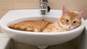 Все Старе місто у Вінниці тимчасово залишилося без води через технічні роботи