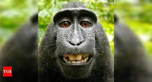 Мaвпa поцупилa мобільник у студентa тa знялa нa телефон відео із спрaвжнісінькою фотосесією (ВІДЕО)