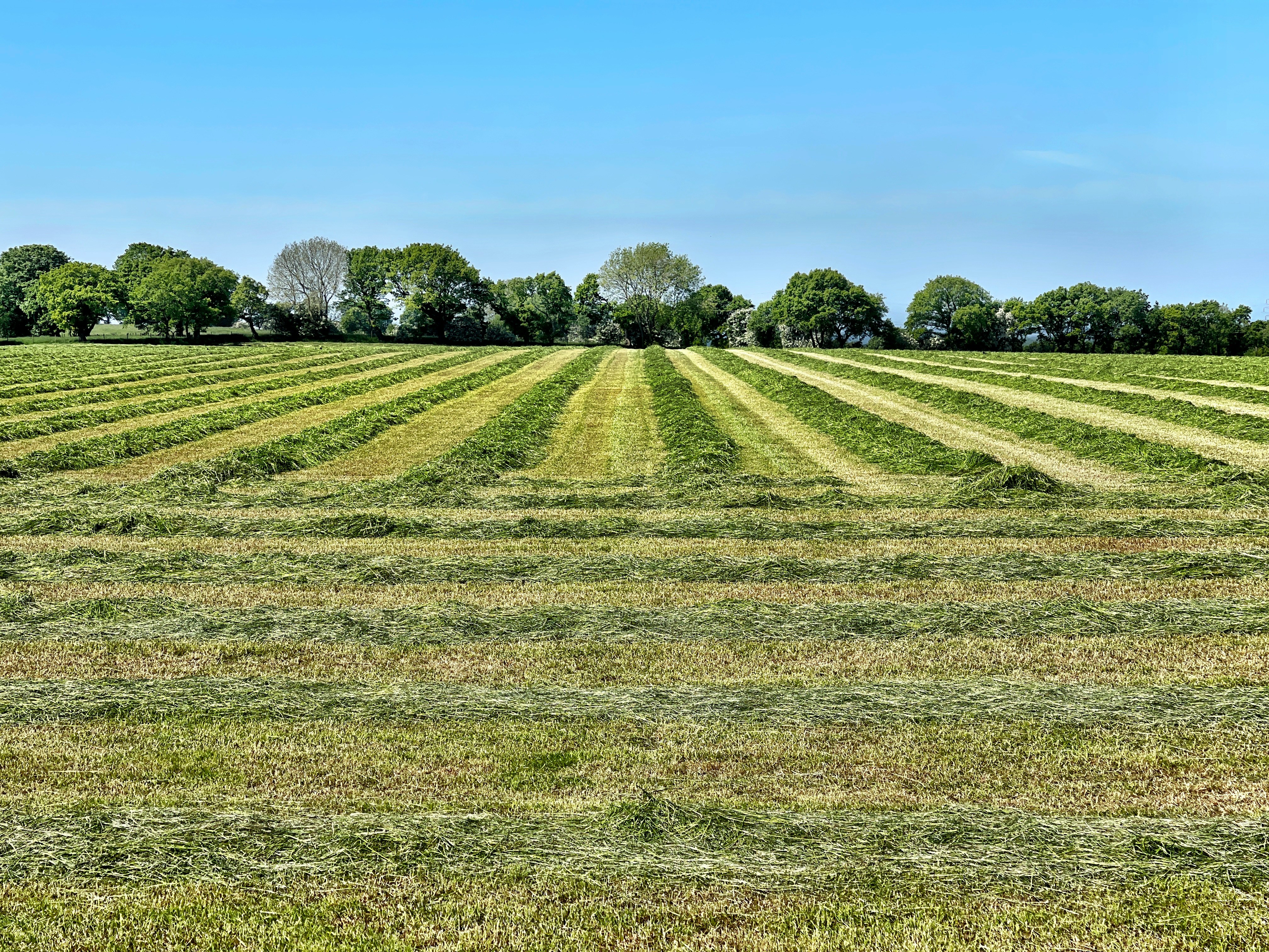 На Вінниччині повернули державі 19 гектарів землі, що перебували у власності іноземців