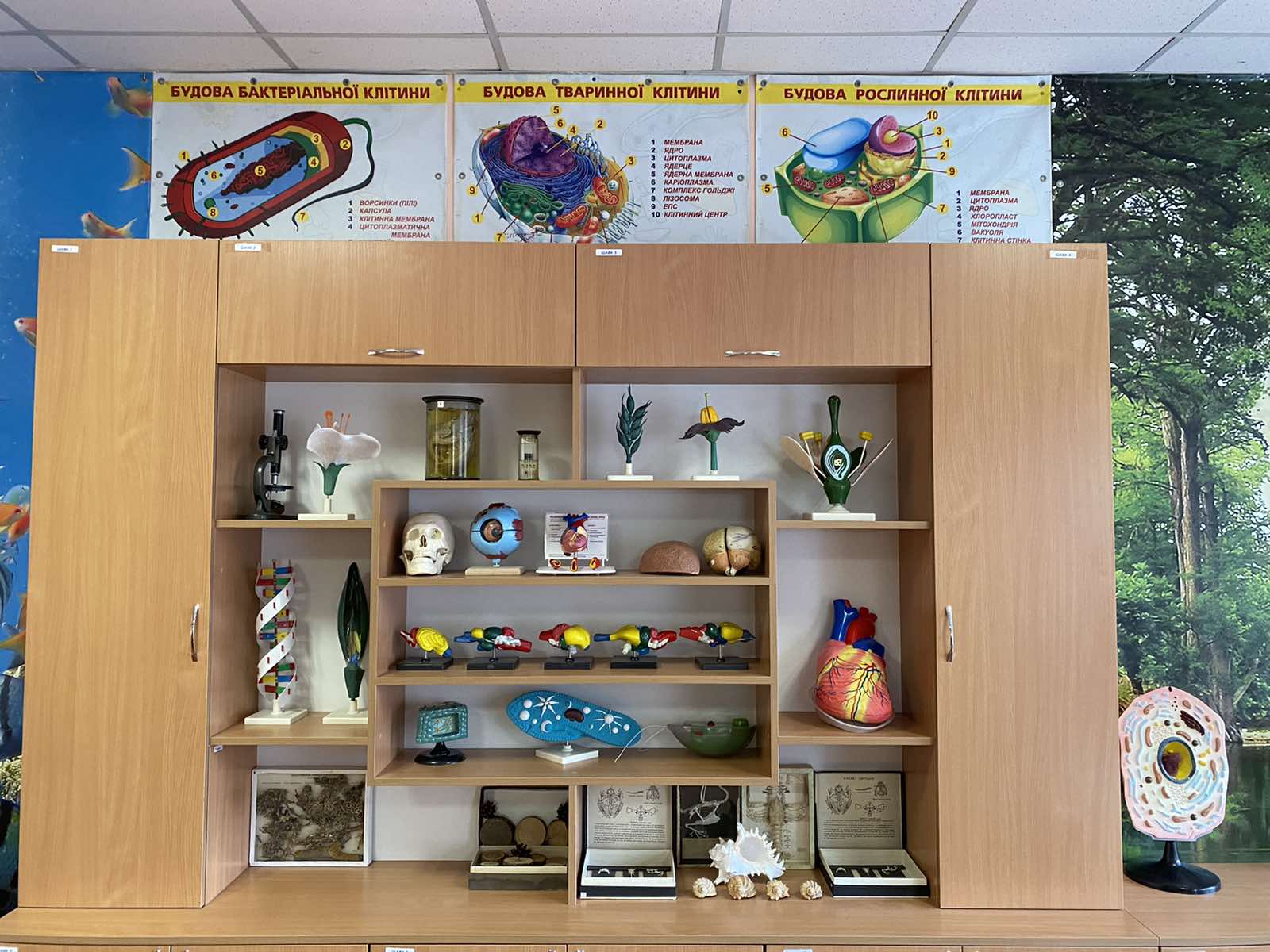 Вінницька школа отримала сучасний кабінет біології