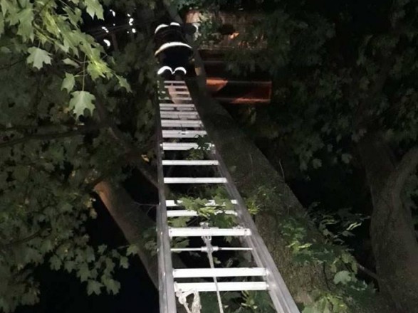 У Кіровоградській області повітряна куля з людьми застрягла на висоті