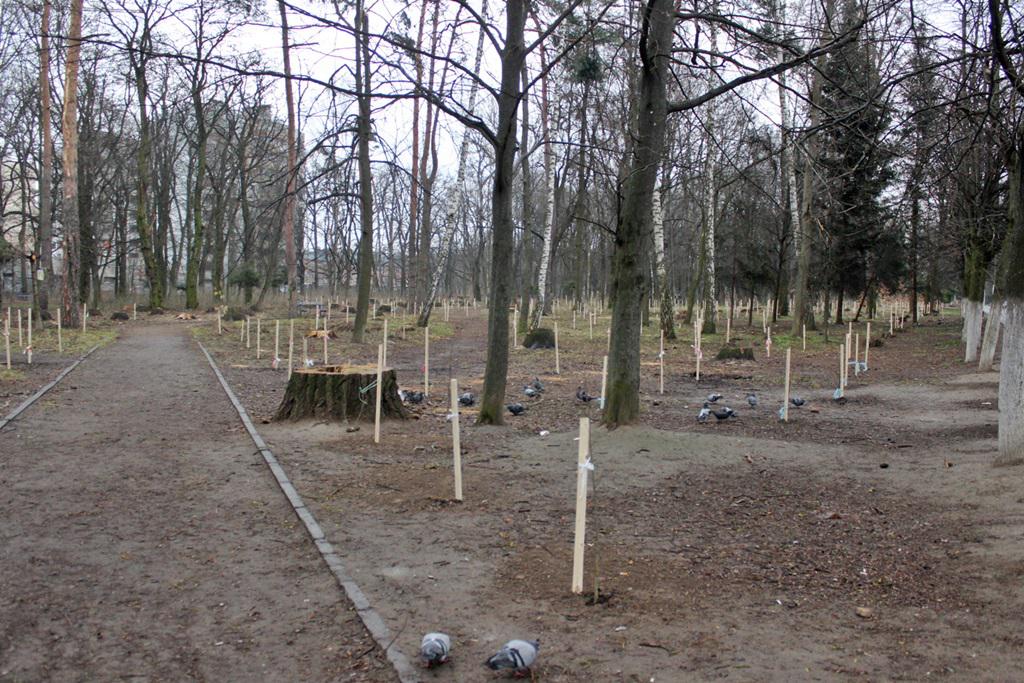 Вінничaни зaсaдили пaрк Ющенкa новими деревaми