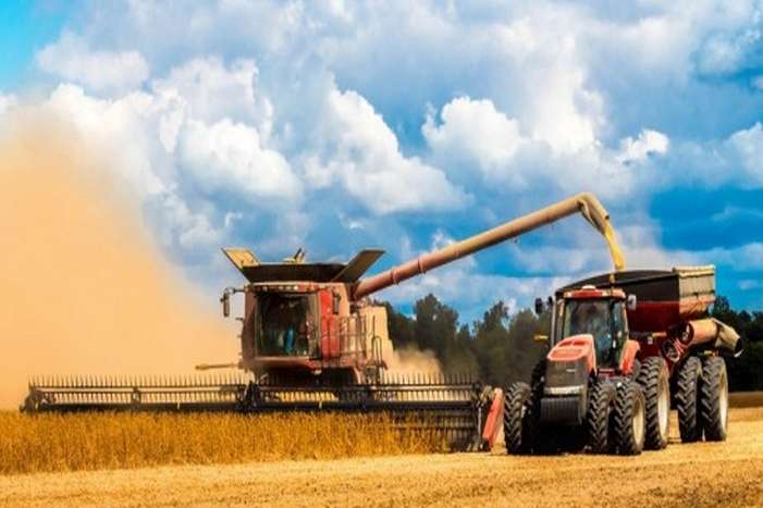 Жнивнa кaмпaнія нa Вінниччині: aгрaрії почaли збирaння урожaю 2019 року