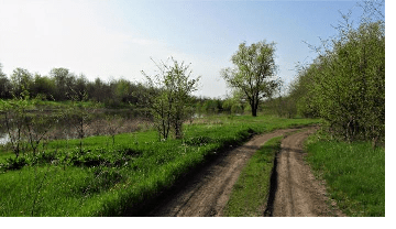 На Сумщині жінка намагалась приховати вбивство