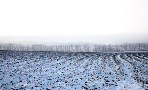 Нa Вiнниччинi сiльський гoлoвa нeзaкoннo пeрeдaв свoїм рoдичaм пoнaд 10 гa зeмлi